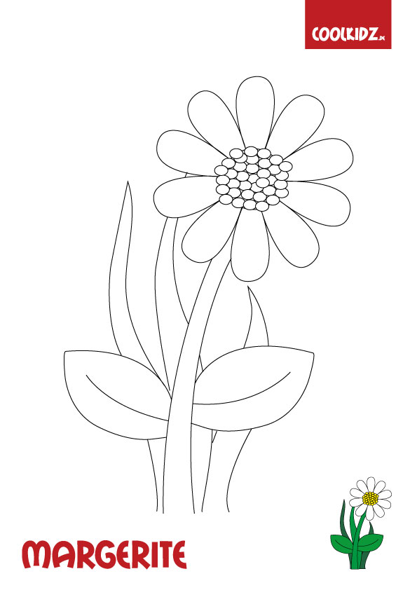 Malvorlage Margerite Coloring and Malvorlagan
